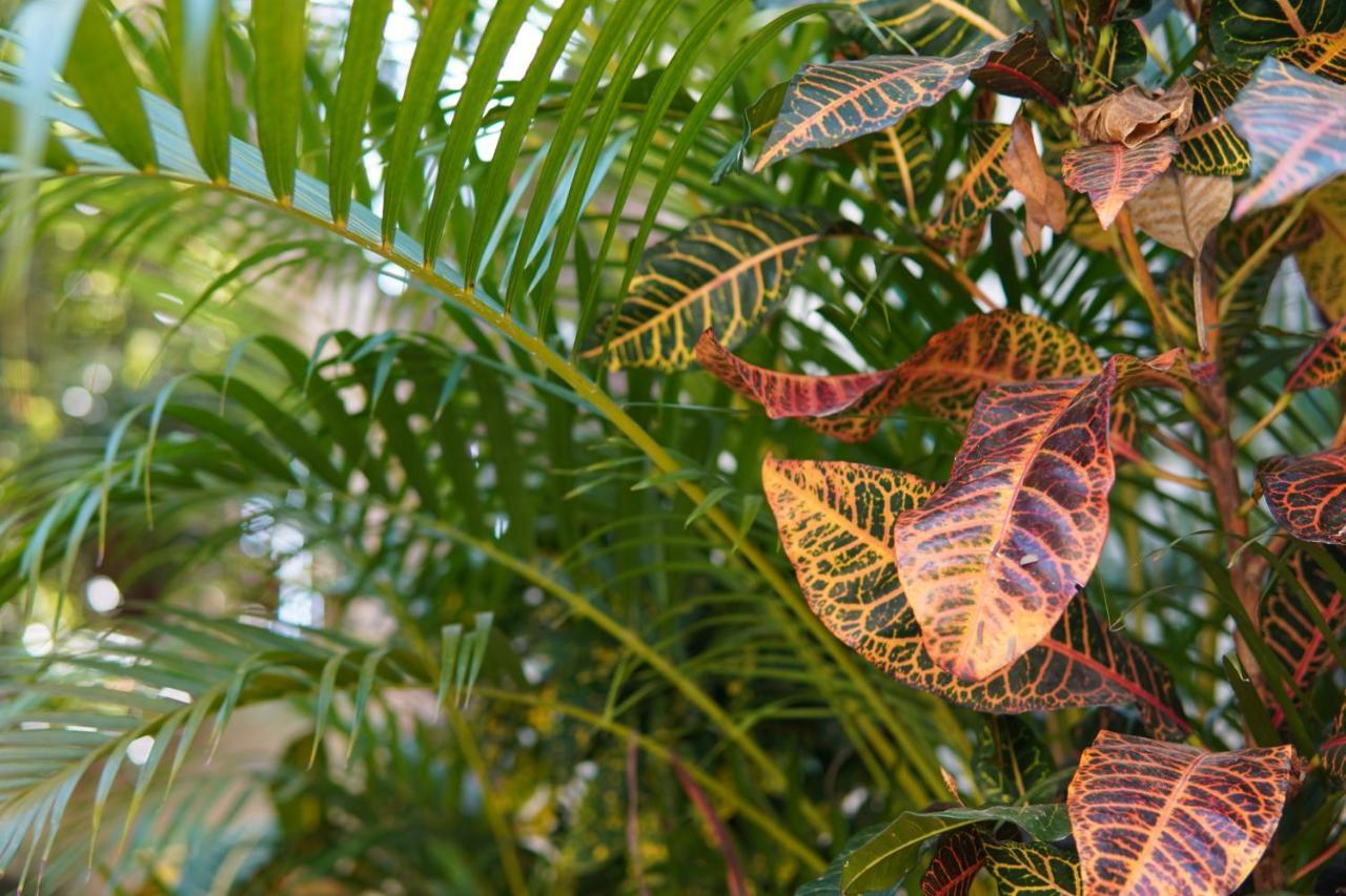 Aldea San Lam - Oasis Of Tulum Hotel Екстериор снимка